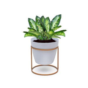 Dekornest Small Pot With Golden Stand (1301)