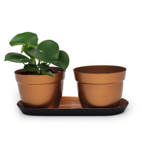 Dekornest Metal pot with Tray (1240)