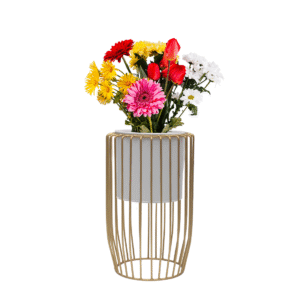 Dekornest Pot with Golden Stand Reversable (2022) Pot